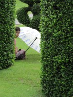 Umbrellas for Sunshine